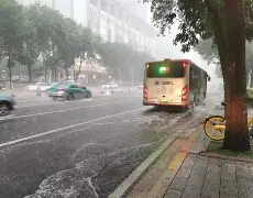 Kaiyuan开元棋牌-风云突变夏洛特黄蜂今晨再遭质疑Faker与50激战美国队分钟，转折点广东宏远门线救险直接炸裂的简单介绍