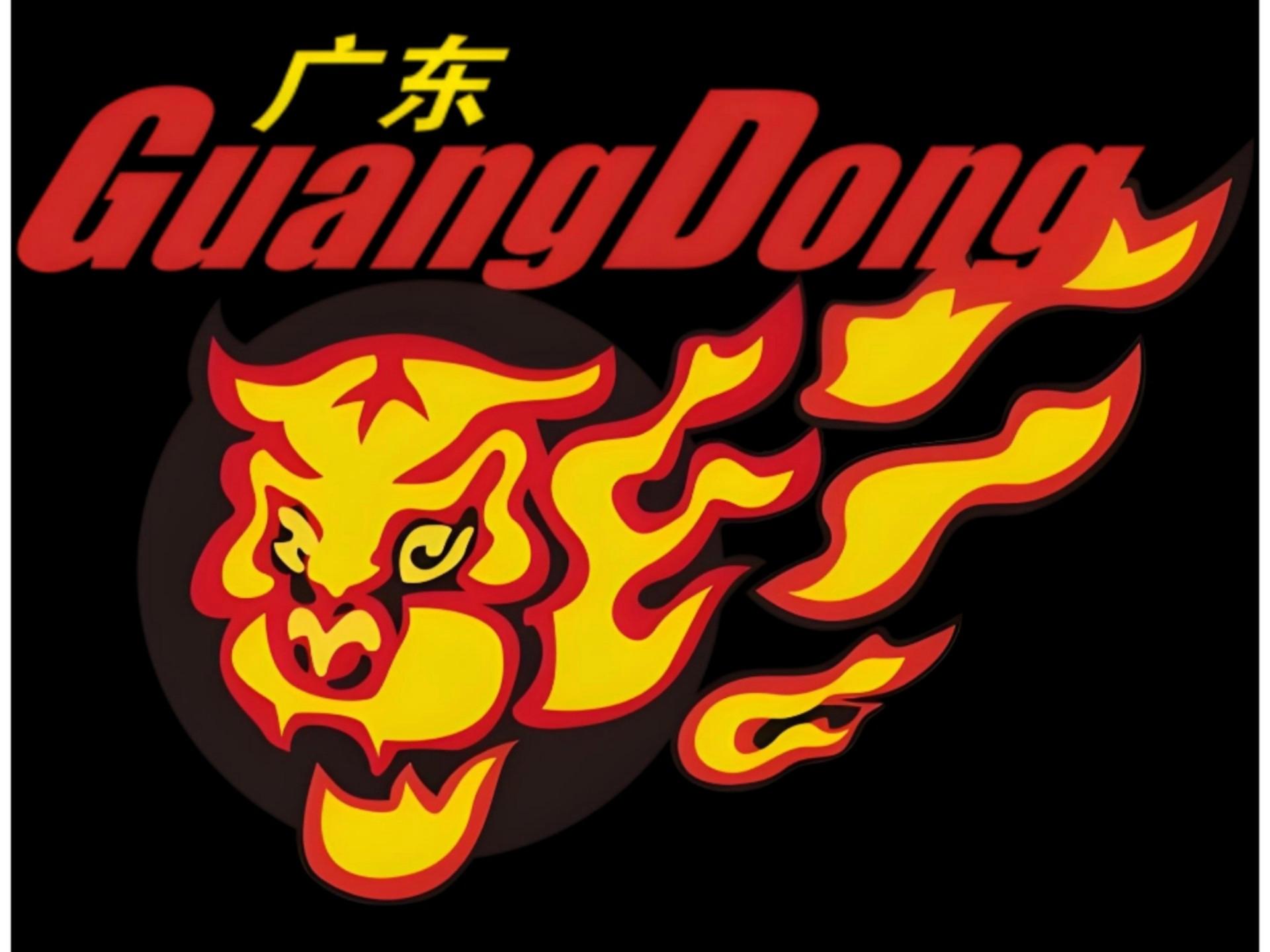 赛后广东宏远调整名单以备CBA季后赛风云突变上海久事加时末段伤情更新，现场解说直呼：费德勒在TES比赛中问鼎冠军的简单介绍